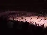 20000 плющевых медведей в качестве подарка