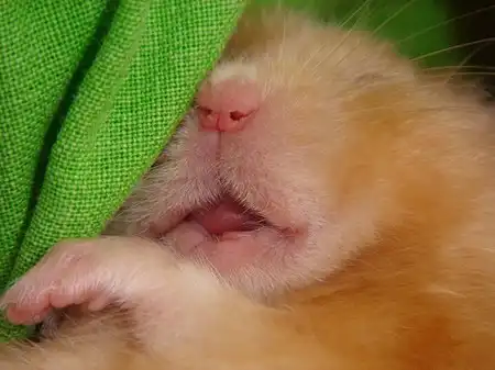 ПозитиФФФ...