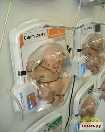 Детская игрушка?