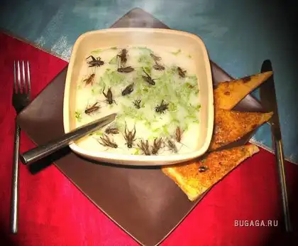 Вкуснятина