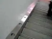 Музыкальная лестница