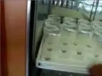 Классный аппарат для любителей пива