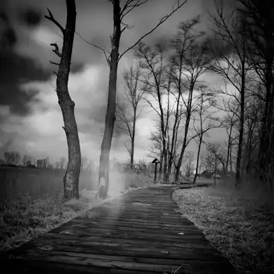 Adam Wicinski (Poland)