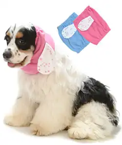 Одежда для собак