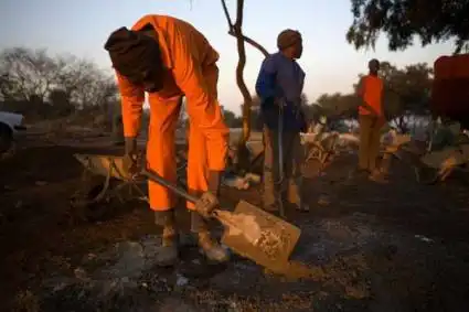 Один день из жизни Африки