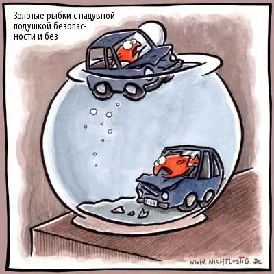 Веселая фотоподборка