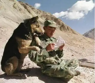 В забавном мире животных!!!