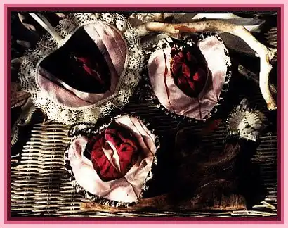 Вельветовая вульва