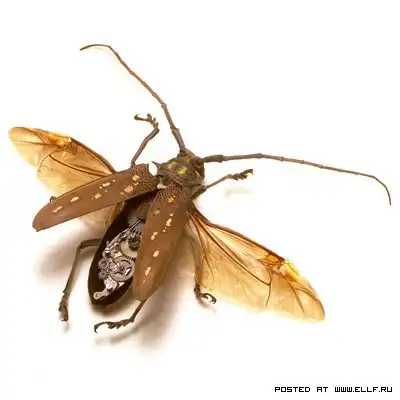 Механические насекомые.