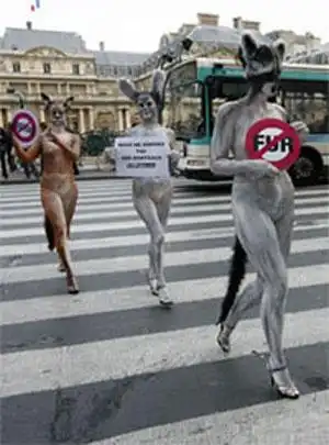 Голый протест: когда тело - в дело!