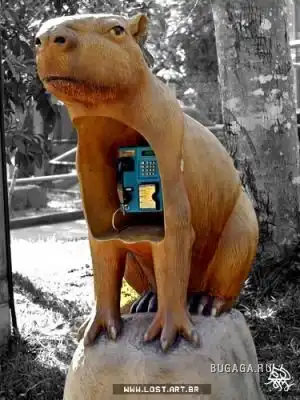 Таксофоны о_0