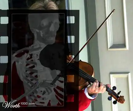 X-ray Vision. Рентген, подборка (24 фото)