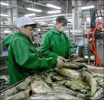 Горы красной икры!!!