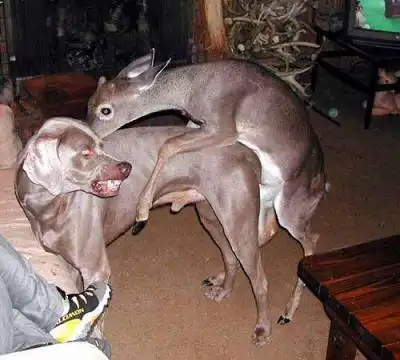 И такое тоже бывает =(