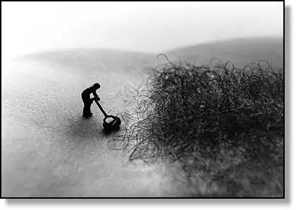 Субботние картинки