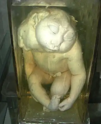 Просто кошмар