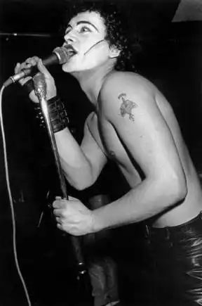 Западные панки 70-80-х годов (17 фото)