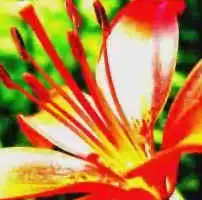 Флешка одного парня..