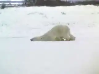 На работу в понедельник