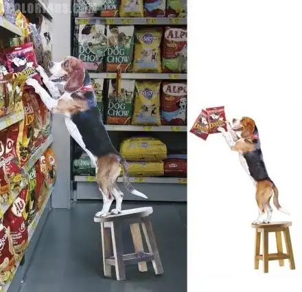 Прикольная реклама собачьей еды