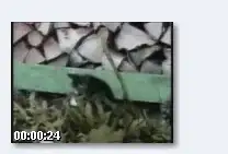 Мего нарезка приколов с котами!