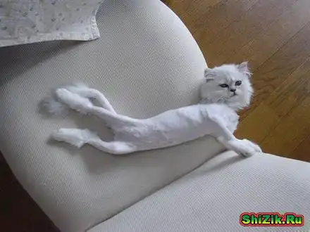 Подборка приколов =)