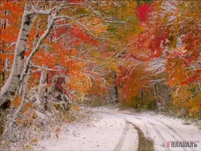 Зима, снег...