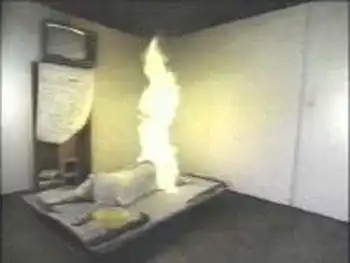 Необъясненимые наукой явления: самовоспламенение людей и появление стигматов.