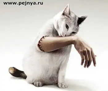 хирург и фотошоп