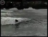 Серфинг с динамитом