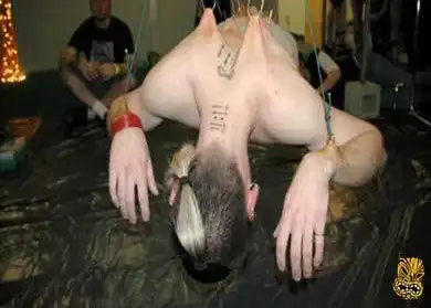 Подвешенные придурки (6 фото)