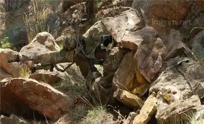 Чудеса маскировки, найди снайпера