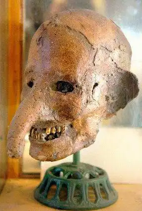 Фотоподборка