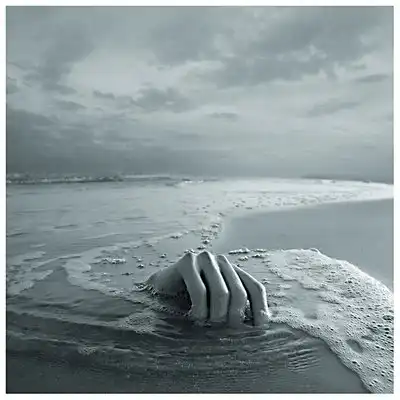 Сonseptual by celsojunior