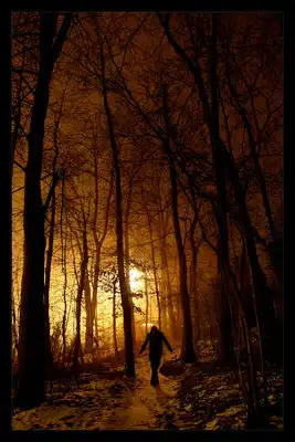 Сonseptual by celsojunior