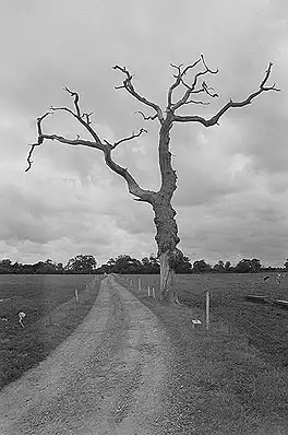 Работы одного фотографа