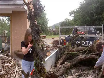 Лощади из дерева