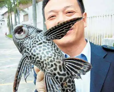 Прикольная фотоподборка (54 фото)