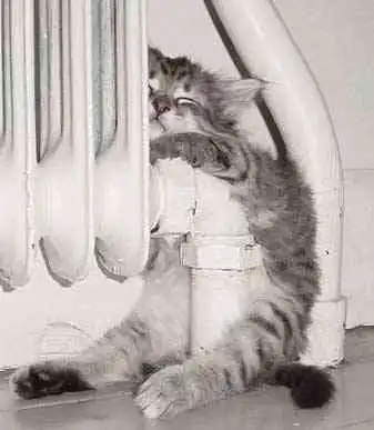 Немного приколов