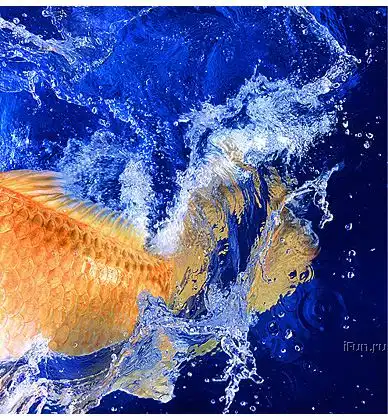 Гламурное фото