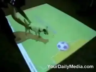 Собака ганяет виртуальный мяч