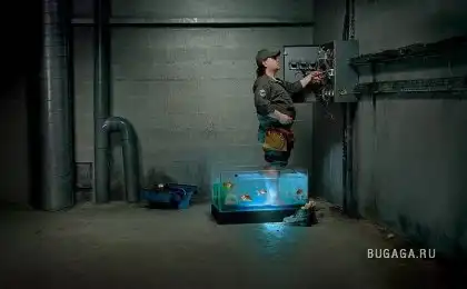 Когда жизнь или здоровье висит на волоске