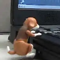 Похотливая USB-собачка