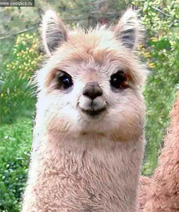 Прикольные фото.