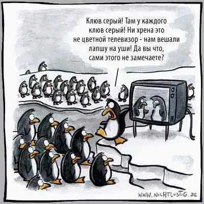 Подборка приколов 2