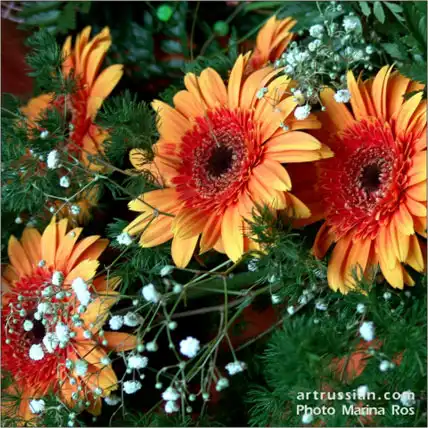 Краски лета