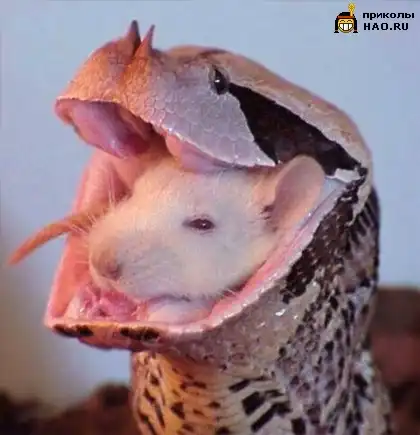 Меня  улыбнуло!