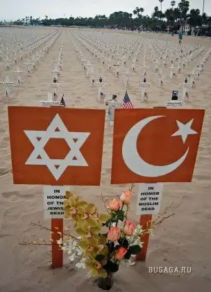 Ирак. Карбала.