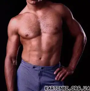 Мужские тела (: