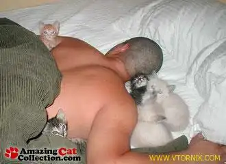 Кормим маленьких. Тренируемся на кошках.